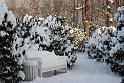 2010-12-02, Neuschnee (10)